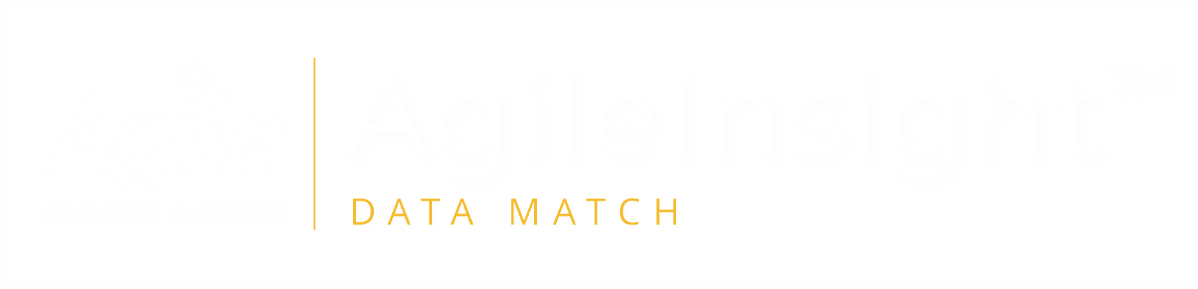 AgileInsight Logo_img