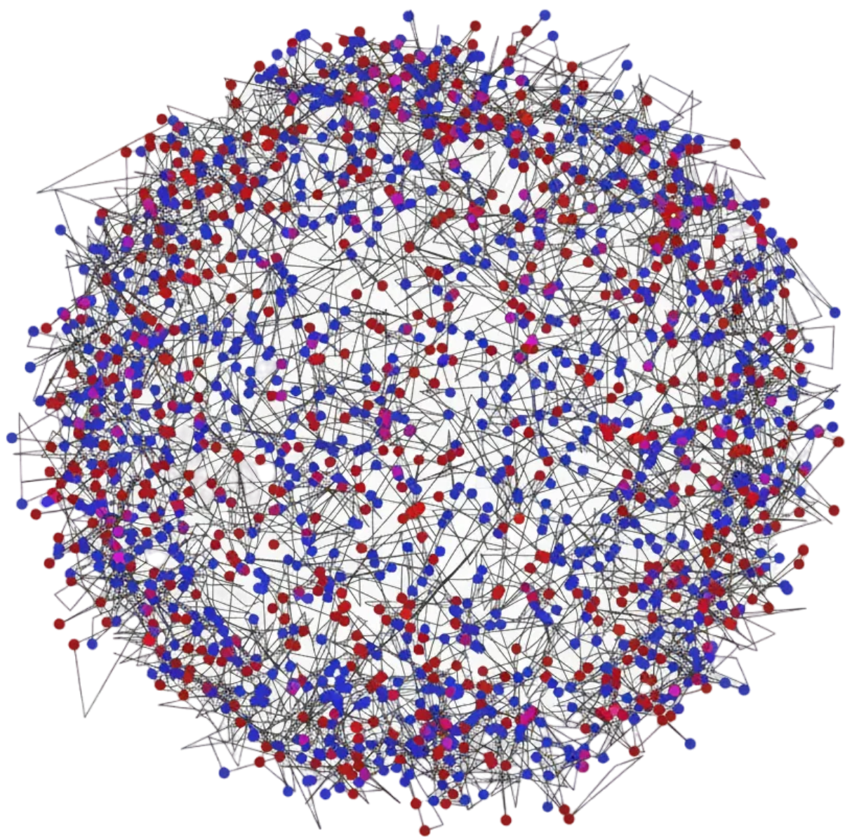 Dense circular network diagram with thousands of interconnected nodes in red, blue, and magenta, showing complex relationships.