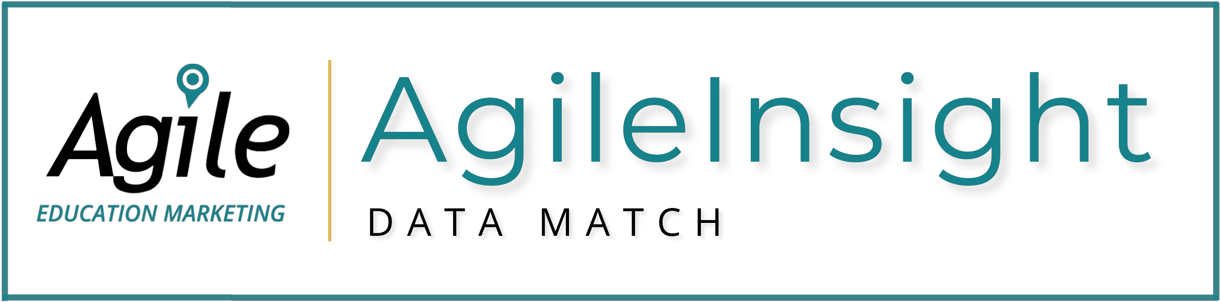 Agile Insight Data Match Logo