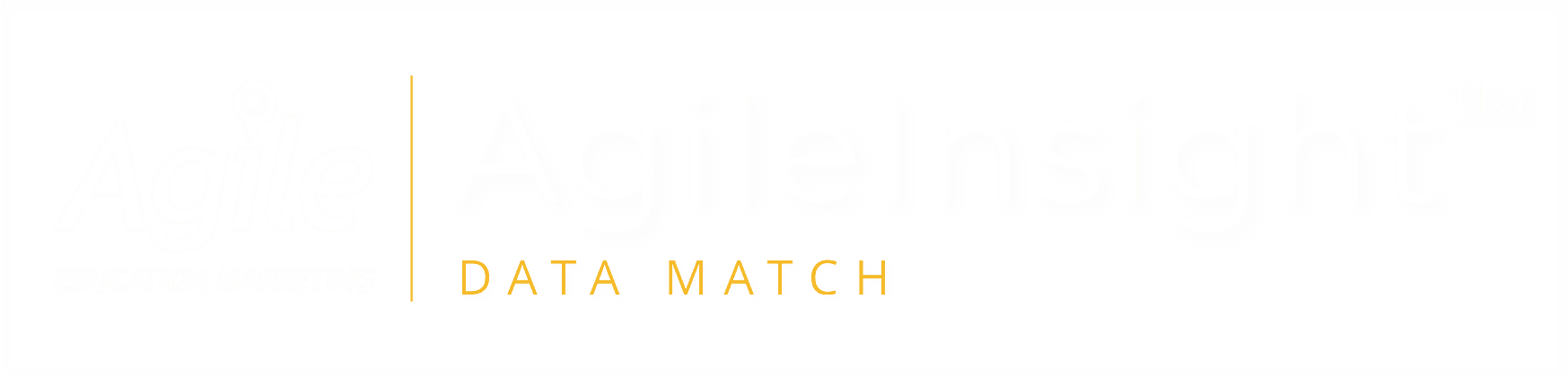 AgileInsight Logo_img