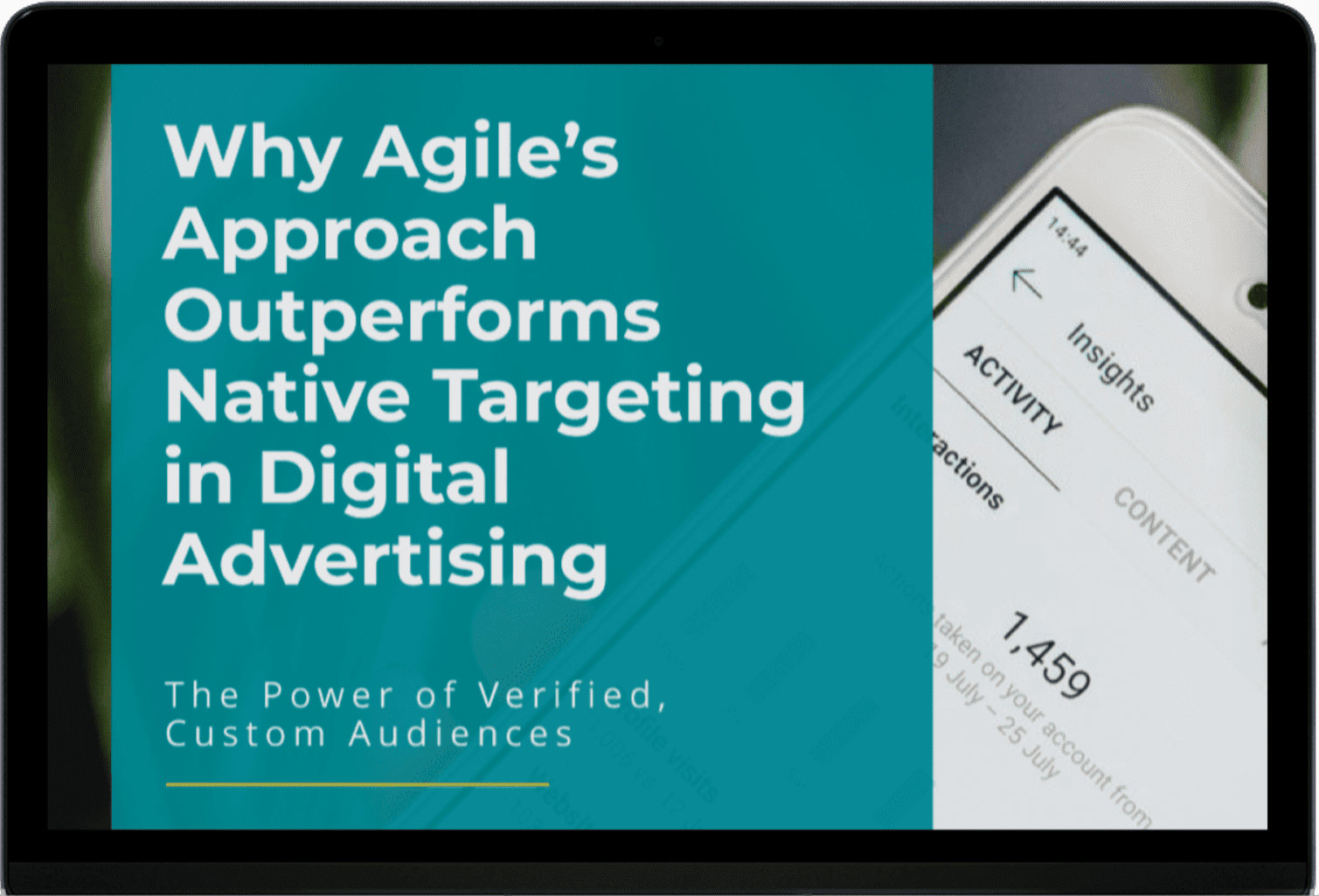 Native vs Custom Audiences on ipad img